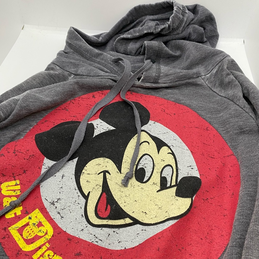 Walt Disney World distressed hoodie